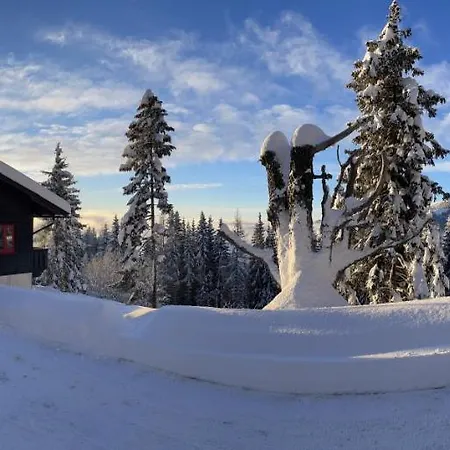 Apartman Stockerhaus *